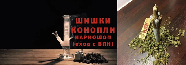 PSILOCYBIN Новодвинск