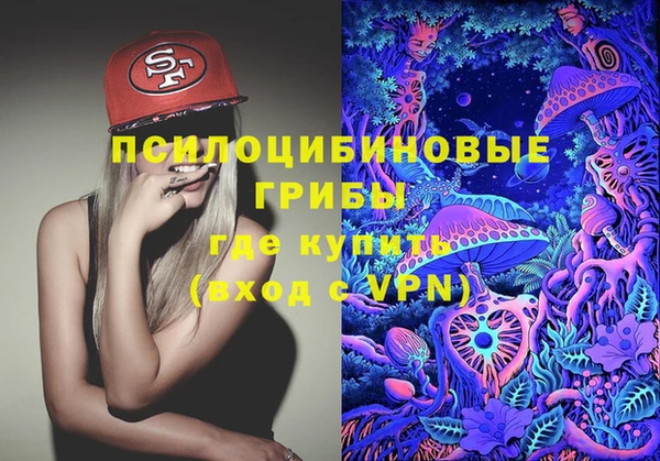 PSILOCYBIN Новодвинск