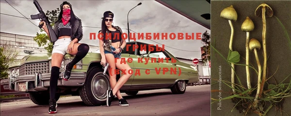 ПСИЛОЦИБИНОВЫЕ ГРИБЫ Нефтекумск
