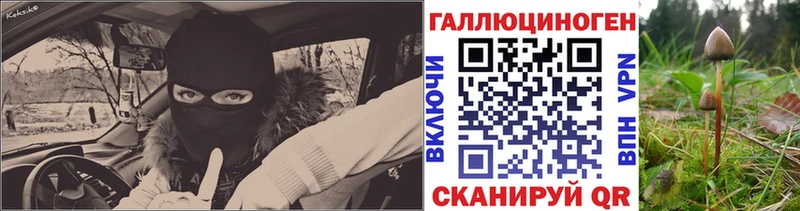 Галлюциногенные грибы Magic Shrooms  Зеленодольск 