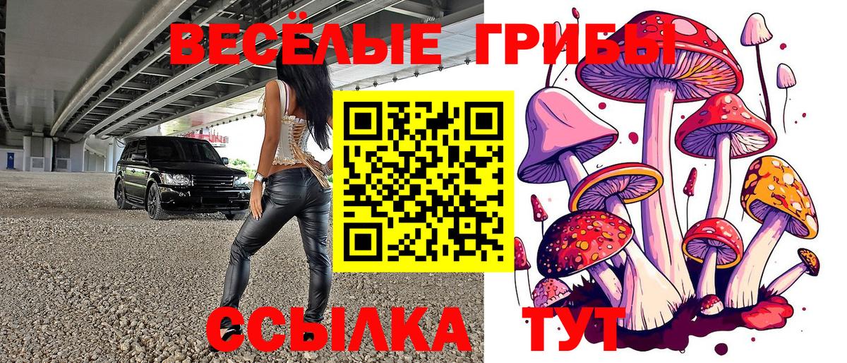 Зеленодольск  Галлюциногенные грибы ЛСД  Вход с VPN 