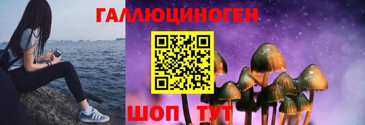 Псилоцибиновые грибы мицелий Зеленодольск